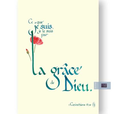 La grâce de Dieu (fleur)