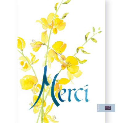 Merci (genêts)